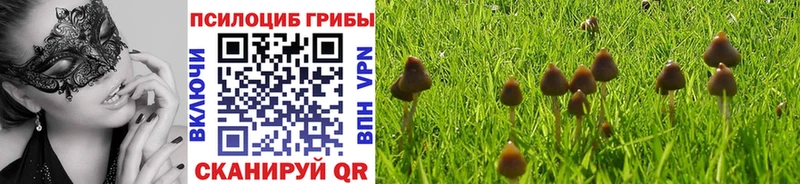 закладки  Анапа  Псилоцибиновые грибы мицелий 